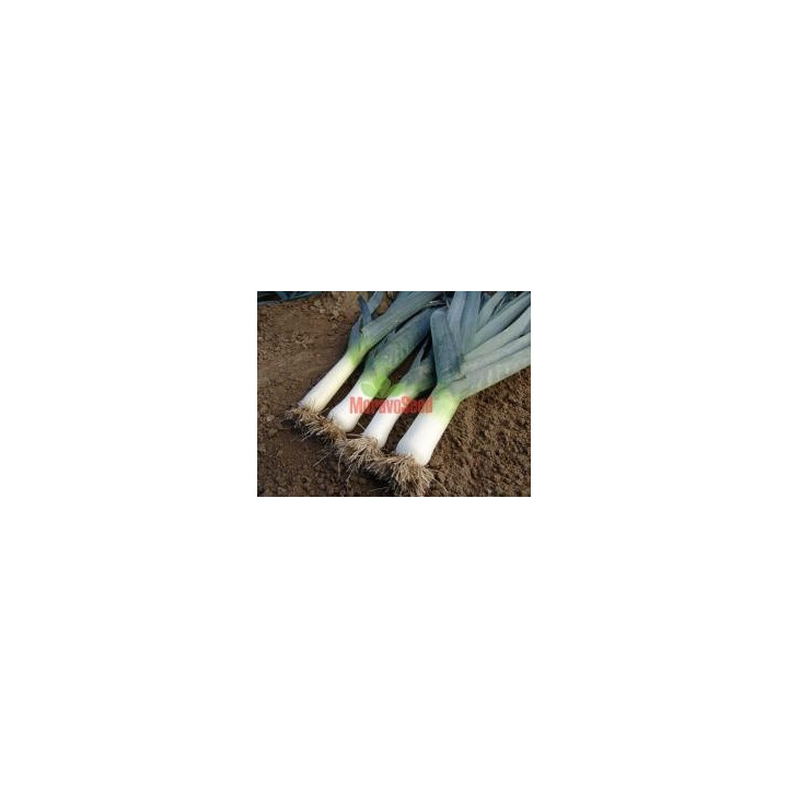 ТІТУС