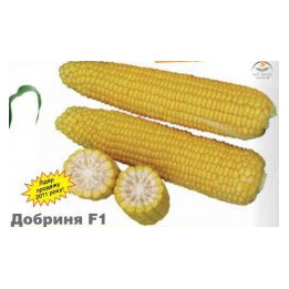 Добриня F1 / Dobrinya F1