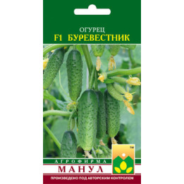 Буревестник F1