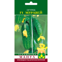 Муравей F1