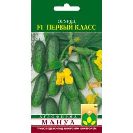 Первый класс F1