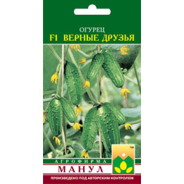 Верные друзья F1