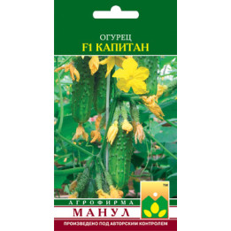 Капитан F1