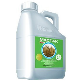 Мастак