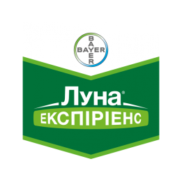 Луна Экспириенс