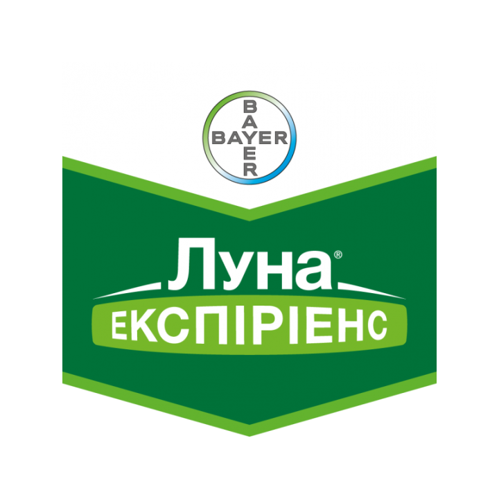 Луна Экспириенс
