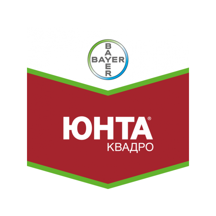 Юнта Квадро