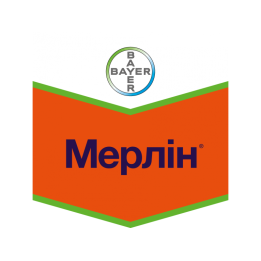 Мерлин 750