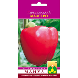 Маэстро