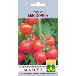 Выскочка
