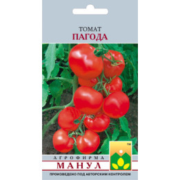 Пагода