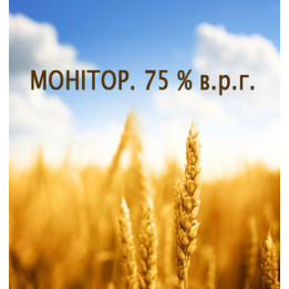 Монитор 750