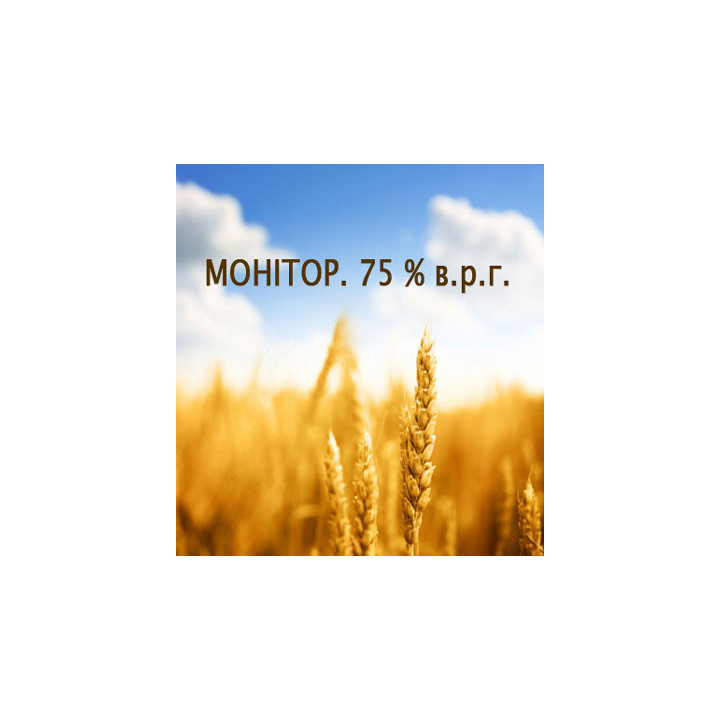 Монитор 750