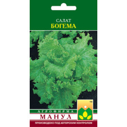 Богема