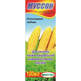 Муссон