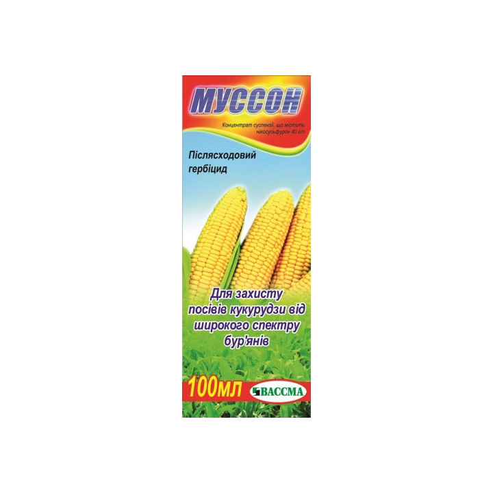 Муссон