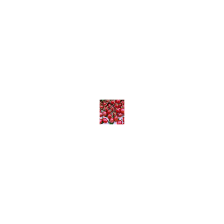 Рио F1
