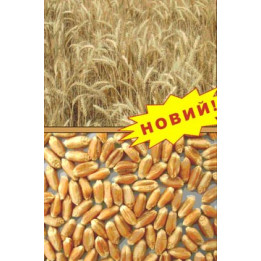 АСТЕТ