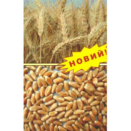 РОЗКІШНА
