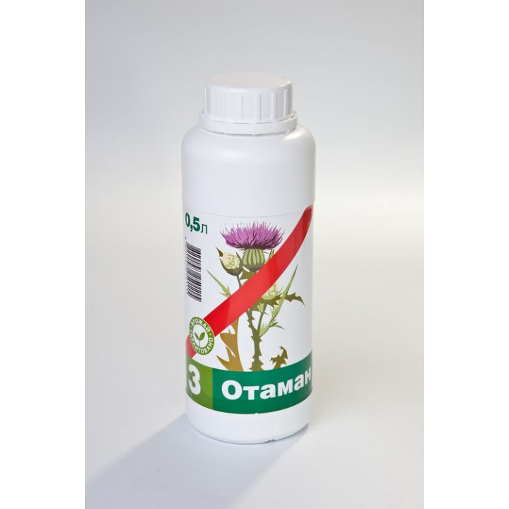 Отаман