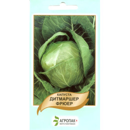 Дитмаршер Фрюер