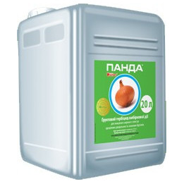 Панда