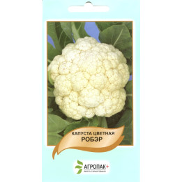 Робэр