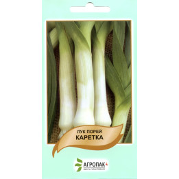 Каретка
