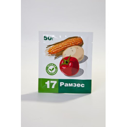 Рамзес