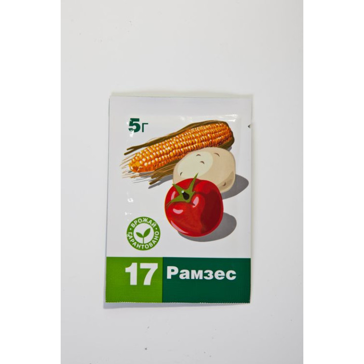 Рамзес