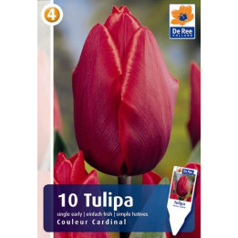 Coleur Cardinal / Колэур Кардинал