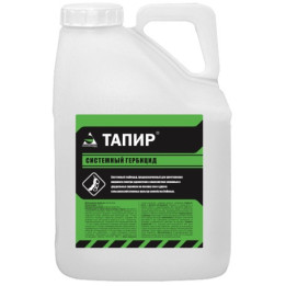 Тапир