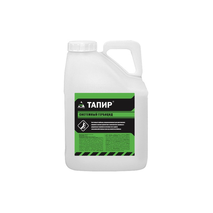 Тапир