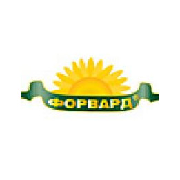 Форвард