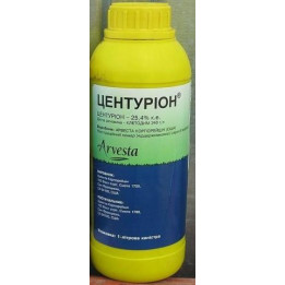 Центурион