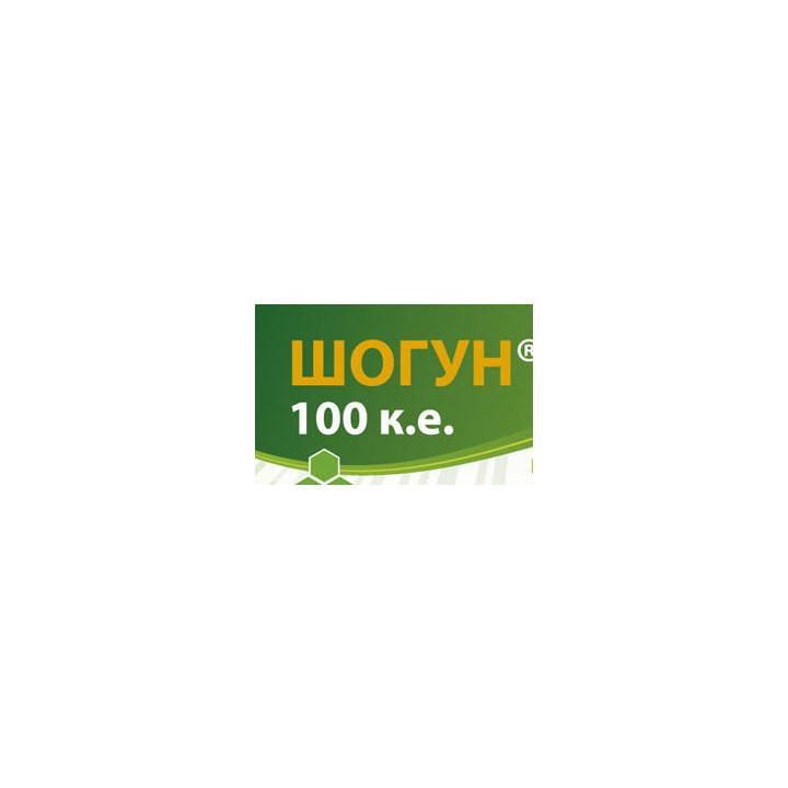 Шогун 100