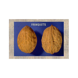 Франкет / Franquette