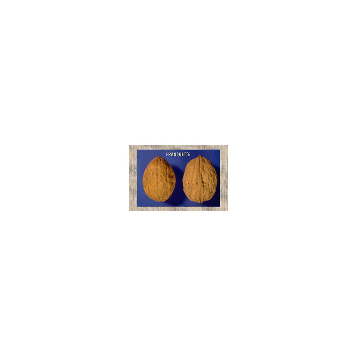 Франкет / Franquette