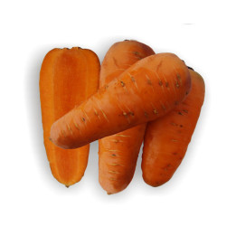 Шантане Рэд Кор