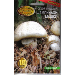 Шампиньон Машки