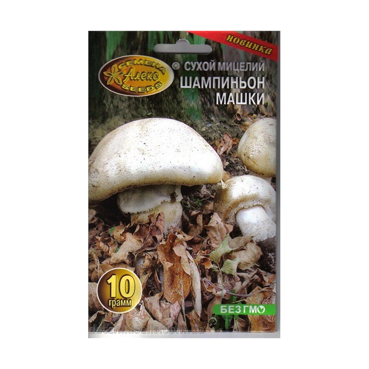 Шампиньон Машки