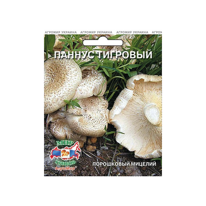 Паннус тигровый