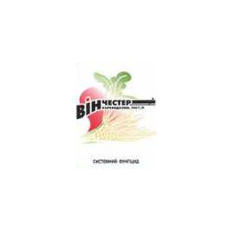 Винчестер