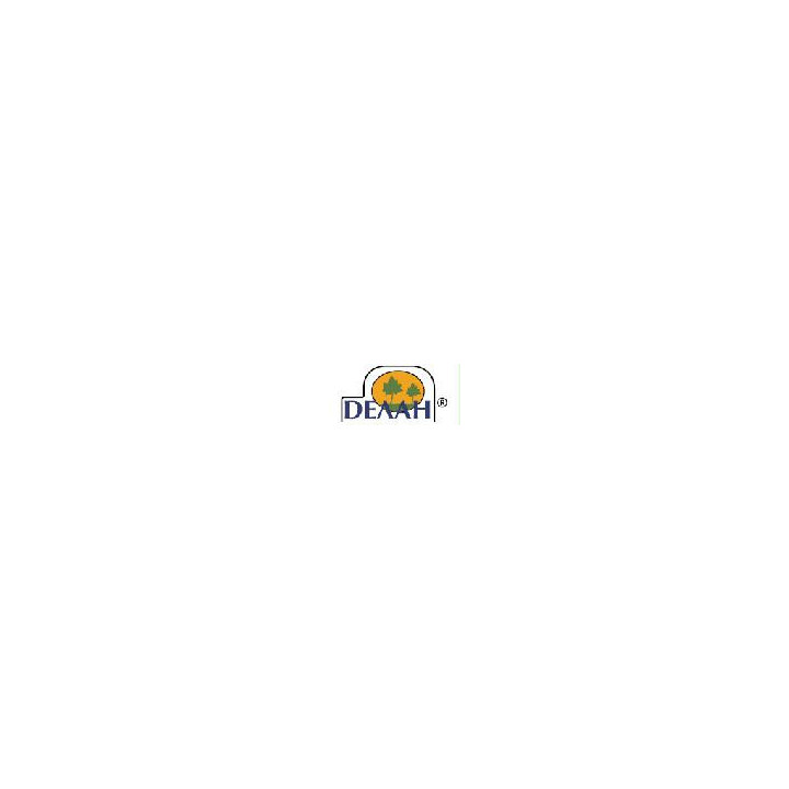 Делан