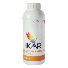 ИКАР (IKAR)