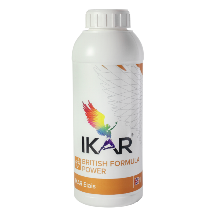 ИКАР (IKAR)