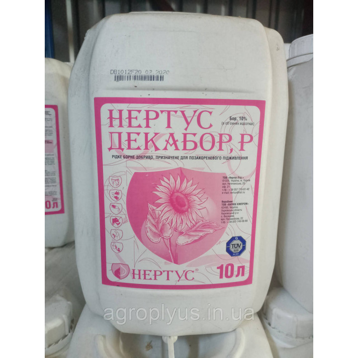 Нертус Декабор