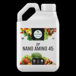 Иннопармис Агросайнс / Nano Chelate Fertilizer Enriched Iron 10%