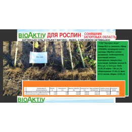 ГУМІЛІН