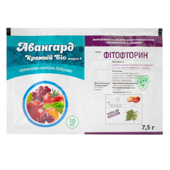АВАНГАРД КРЕМНІЙ